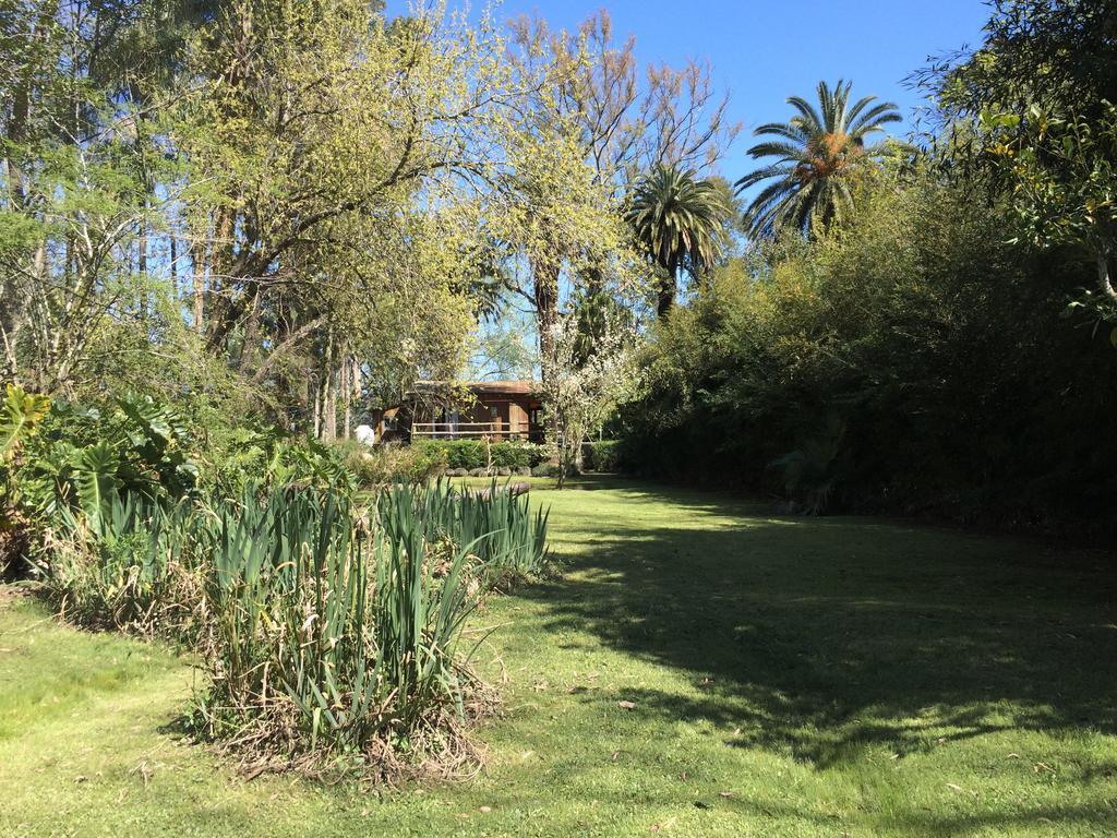 Lujan Delta *